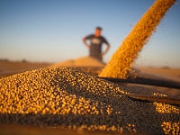 Экспорт российского зерна в Китай в I квартале вырос до рекордных $125 млн